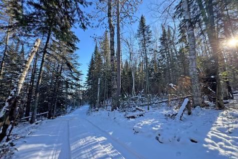 26810 N Hart Lake Road Pengilly MN 55775
