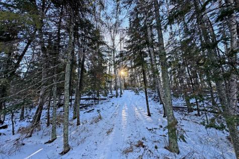 26810 N Hart Lake Road Pengilly MN 55775