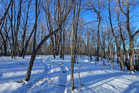 26810 N Hart Lake Road Pengilly MN 55775