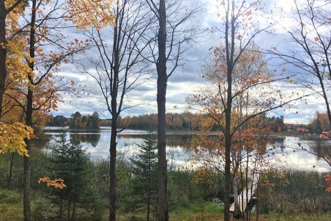 26810 N Hart Lake Road Pengilly MN 55775