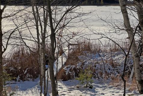 26810 N Hart Lake Road Pengilly MN 55775