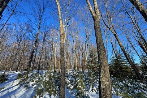 26810 N Hart Lake Road Pengilly MN 55775