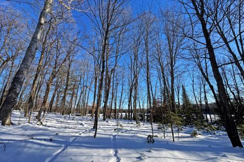 26810 N Hart Lake Road Pengilly MN 55775