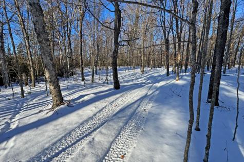 26810 N Hart Lake Road Pengilly MN 55775