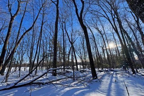 26810 N Hart Lake Road Pengilly MN 55775