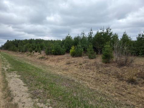 Tbd 450th St - Parcel A Laporte MN 56461