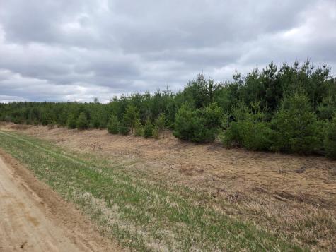 Tbd 450th St - Parcel A Laporte MN 56461