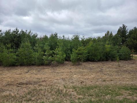 Tbd 450th St - Parcel A Laporte MN 56461