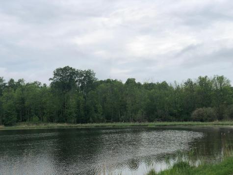 9A Hines Road NE Hines MN 56647