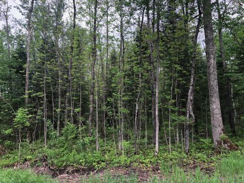 9A Hines Road NE Hines MN 56647