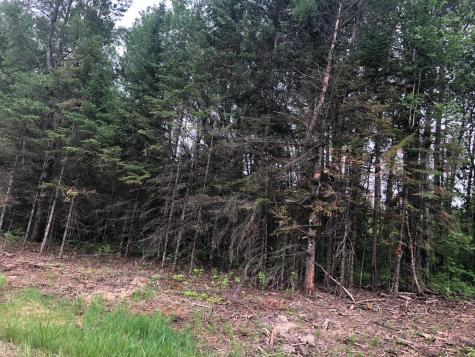 9A Hines Road NE Hines MN 56647