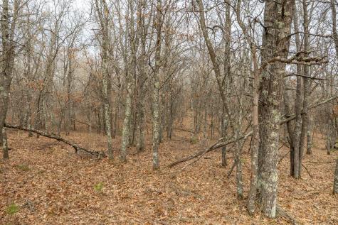 Lot 6 S Madison Avenue Wascott WI 54838