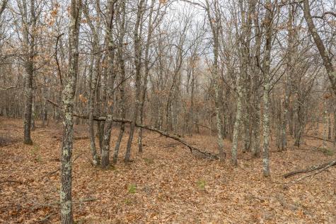 Lot 6 S Madison Avenue Wascott WI 54838