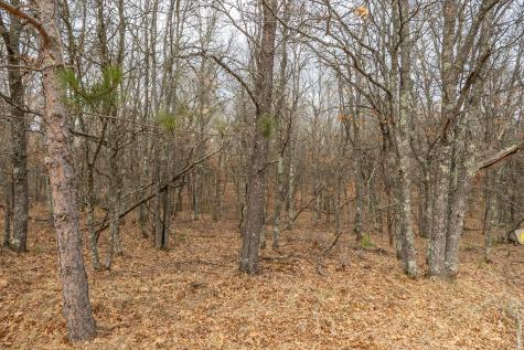 Lot 6 S Madison Avenue Wascott WI 54838