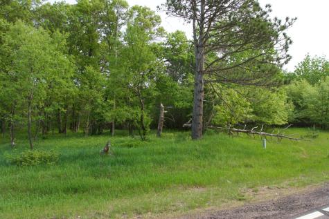Xxx Lot 3 283rd Avenue NW Zimmerman MN 55398