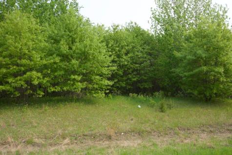 Xxx Lot 3 283rd Avenue NW Zimmerman MN 55398
