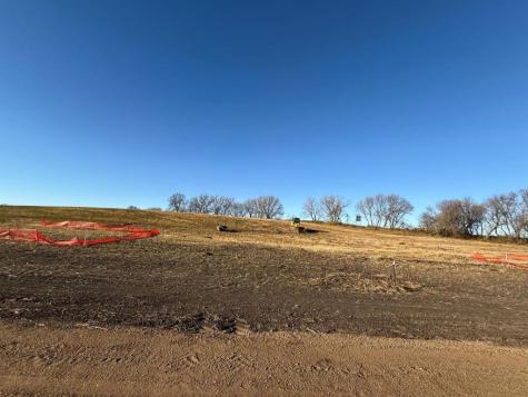 Lot 6, Block 1 Alivia's Avenue Pelican Rapids MN 56572