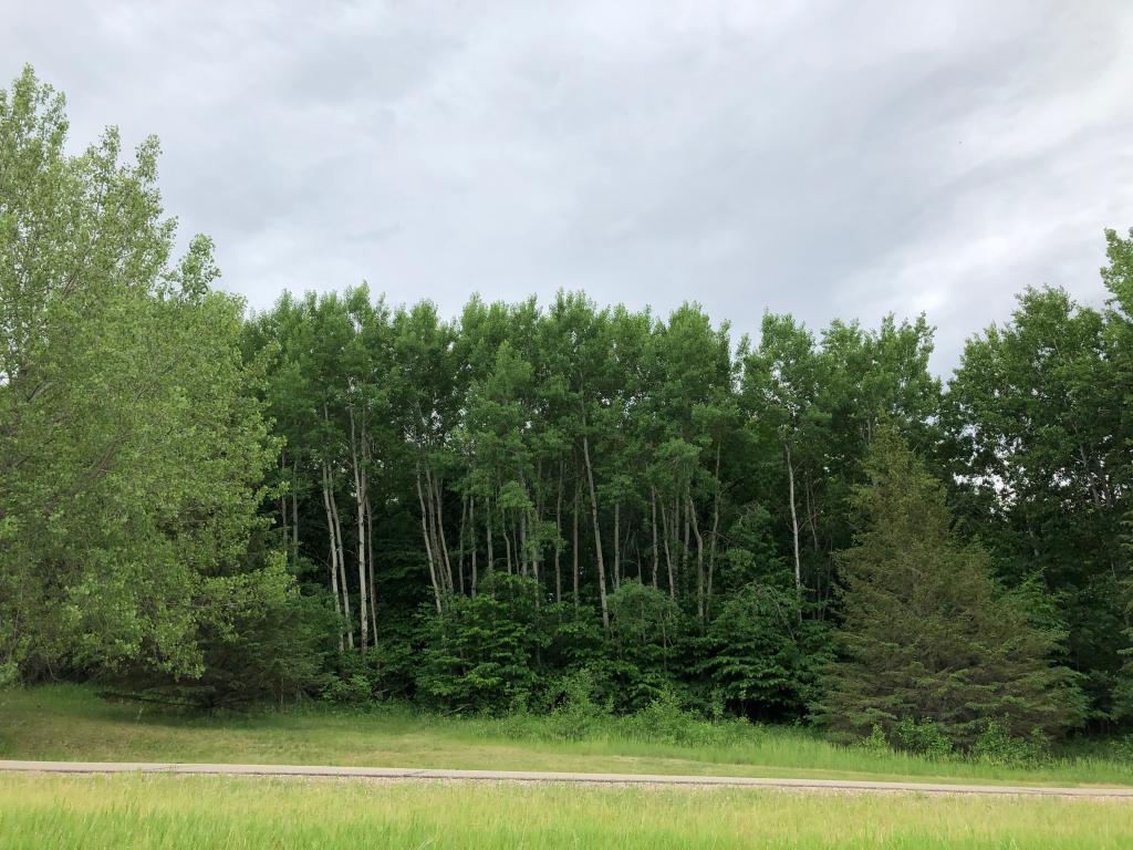 27945 Timber Lane Road Paynesville MN 56362