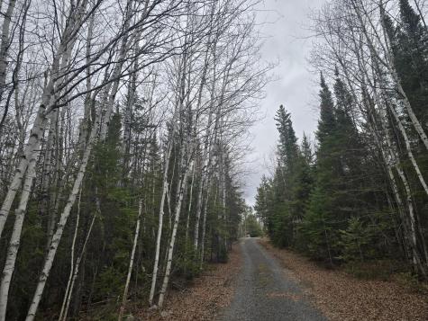 9464 Highway 53 Kabetogama MN 56669