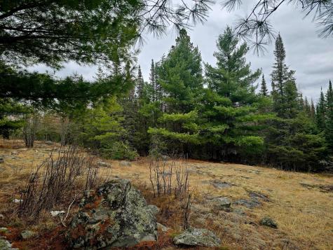 9464 Highway 53 Kabetogama MN 56669