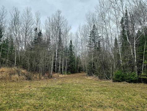 9464 Highway 53 Kabetogama MN 56669