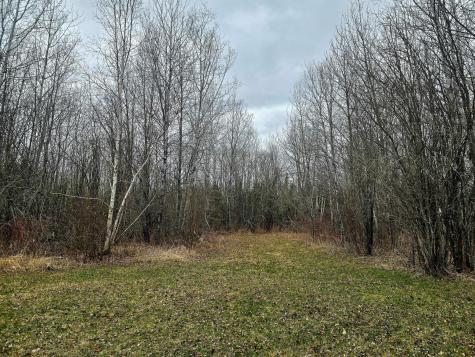 9464 Highway 53 Kabetogama MN 56669