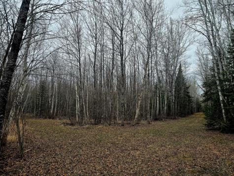 9464 Highway 53 Kabetogama MN 56669