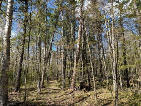 Tbd Leonard Road Birchwood WI 54817