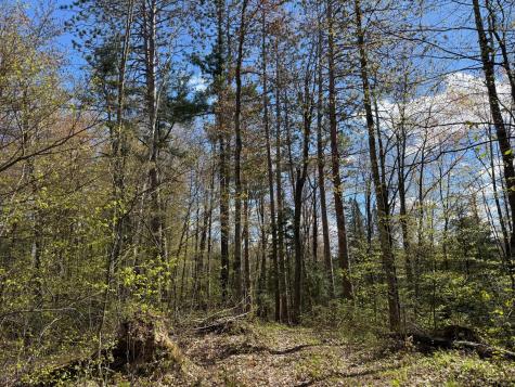 Tbd Leonard Road Birchwood WI 54817