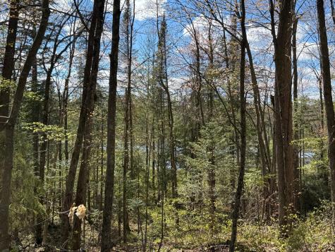 Tbd Leonard Road Birchwood WI 54817