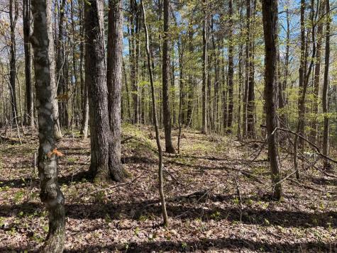 Tbd Leonard Road Birchwood WI 54817