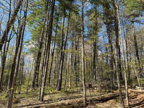 Tbd Leonard Road Birchwood WI 54817