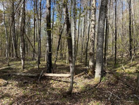 Tbd Leonard Road Birchwood WI 54817