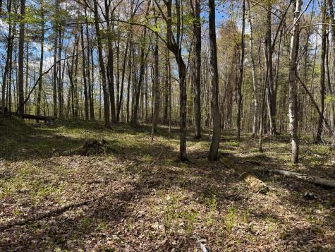 Tbd Leonard Road Birchwood WI 54817