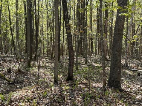 Tbd Leonard Road Birchwood WI 54817