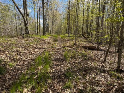 Tbd Leonard Road Birchwood WI 54817