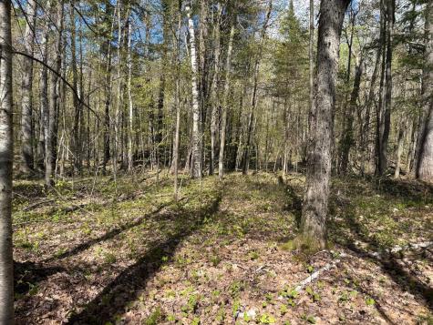 Tbd Leonard Road Birchwood WI 54817