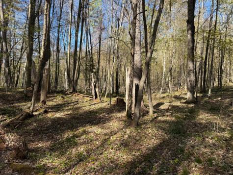 Tbd Leonard Road Birchwood WI 54817