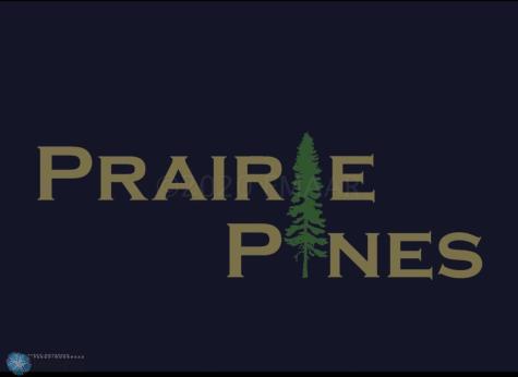 308 Prairie Drive N Hankinson ND 58041