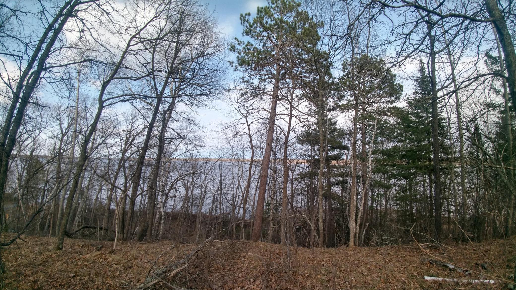 50126 County 29 Bemidji MN 56601