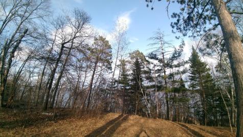 50126 County 29 Bemidji MN 56601