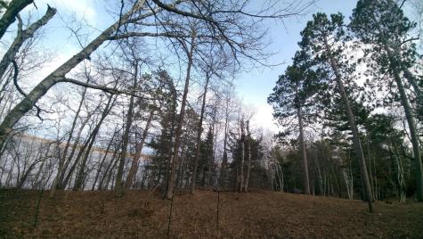 50126 County 29 Bemidji MN 56601