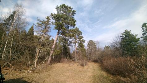 50126 County 29 Bemidji MN 56601