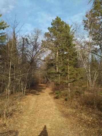 50126 County 29 Bemidji MN 56601