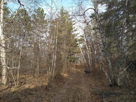 50126 County 29 Bemidji MN 56601