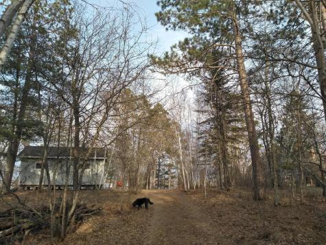 50126 County 29 Bemidji MN 56601