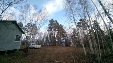 50126 County 29 Bemidji MN 56601