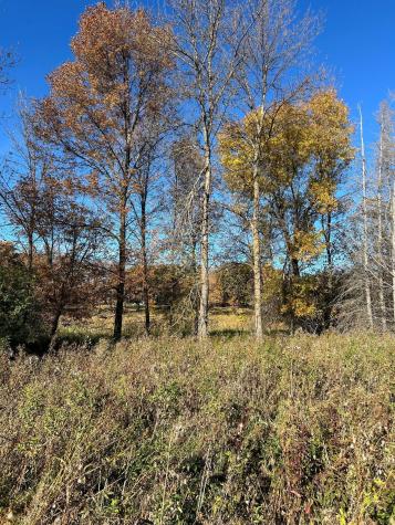 Xxx Riverbend Drive Warroad MN 56763