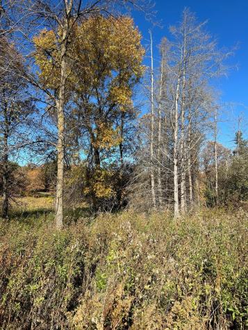 Xxx Riverbend Drive Warroad MN 56763