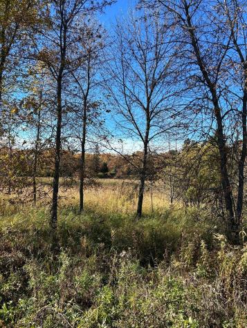 Xxx Riverbend Drive Warroad MN 56763